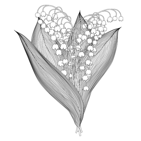 lily of the valley black and white outline isolated on white backgroundのイラスト素材