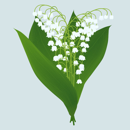 lilies of the valley isolated on light backgroundのイラスト素材