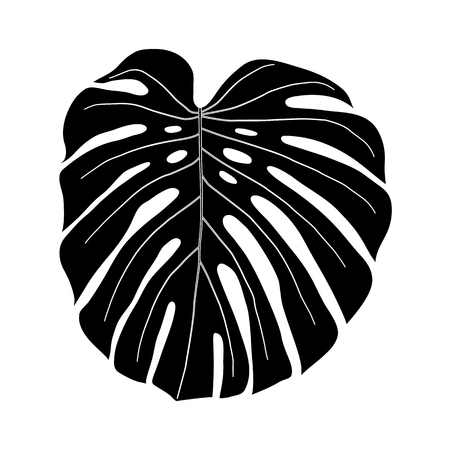 monstera leaf black and white isolated on a white backgroundのイラスト素材