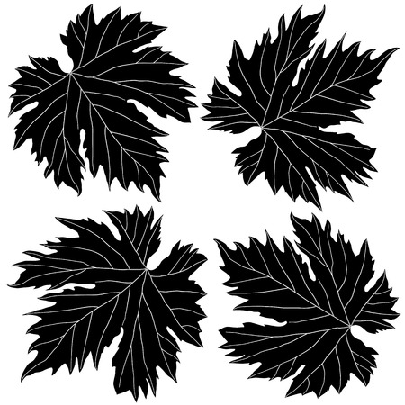 black and white grape leaves isolated on white backgroundのイラスト素材
