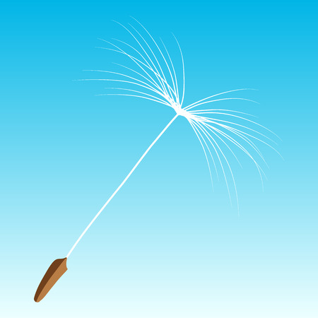 fluff dandelion isolated on a blue backgroundのイラスト素材