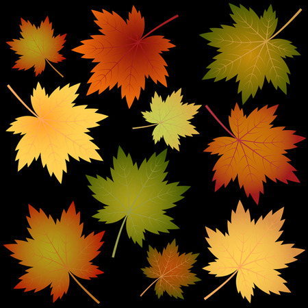 Maple leaves icon.のイラスト素材