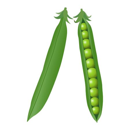 green peas opened and green peas closedのイラスト素材