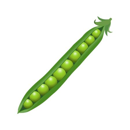 Open green peasのイラスト素材