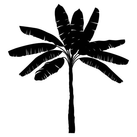 banana palm black isolated on white backgroundのイラスト素材