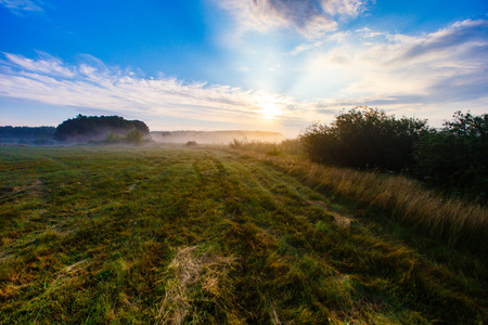 Foggy meadow under blue sky in rural areaの写真素材