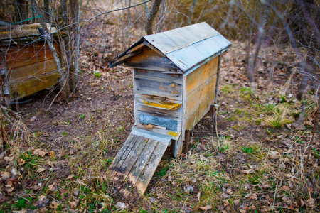 Old wooden beehive with metal roof in the countryside in springtimeの写真素材