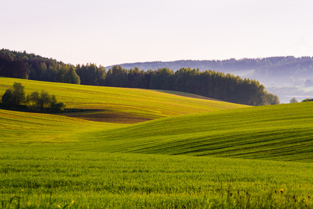 Spring grassy fields surrounded by thick woods and light fog over the quiet lake and cloudless sky above. The sun fades the curtains. Fading lightの写真素材