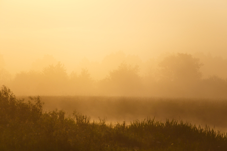 Thick fog in morning sunlight over the riverの写真素材