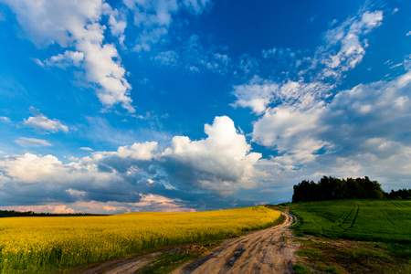 Dark clouds moving above rape fields. Summer landscapeの写真素材