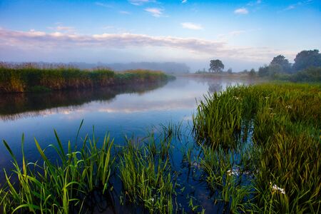 Morning landscape, river curve surrounded by sedge and vegetationの写真素材
