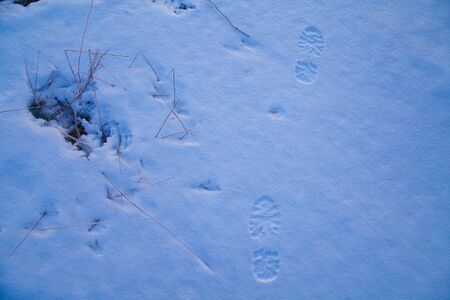 Man footprints left on snow surface close-upの写真素材