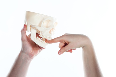 Preparing for examsの写真素材