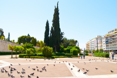 pigeons in the square Greek Parliament in Athensのeditorial素材