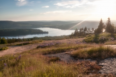 Spring river in the Ryazan region, Russiaの写真素材
