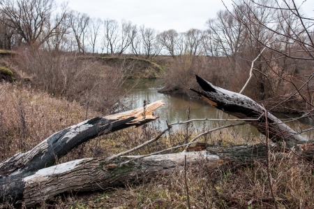 Spring river in the Ryazan region, Russiaの写真素材