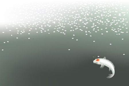 Vector illustration of traditional sacred Japanese Koi carp fishのイラスト素材