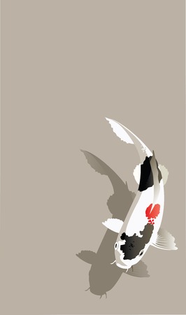 Vector illustration of traditional sacred Japanese Koi carp fishのイラスト素材