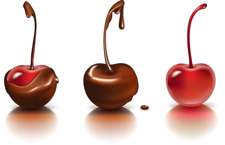 Vector illustration of ripe cherries covered with chocolateのイラスト素材