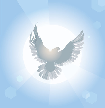 Vector illustration of white dove spreading wings in sunlightのイラスト素材