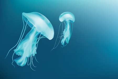 Vector illustration of a pair of jellyfishes in water depthのイラスト素材
