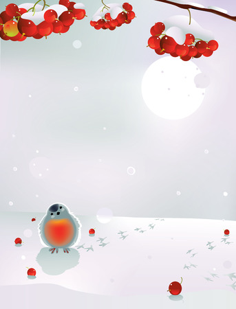 Vector illustration of bullfinch and berries in winterのイラスト素材