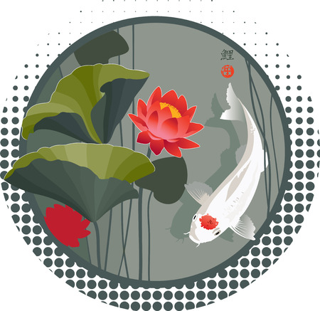 Vector illustration of Sacred Japanese Koi carp and lotus flower in round shape backgroundのイラスト素材