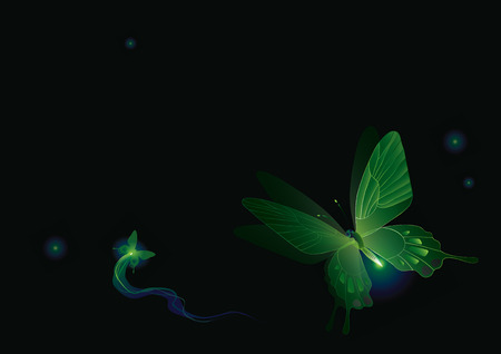 Vector illustration of fairytale luminous butterflies in darknessのイラスト素材