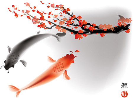 Artistic vector illustration of koi carps couple in waterのイラスト素材
