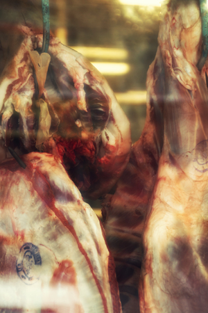 dead meat blurred out of focus pork slices hungの写真素材