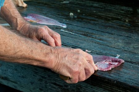 Mature fisherman cleans the fish in the dock.の写真素材