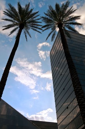 Vertical view of a high rise building and palms.の写真素材