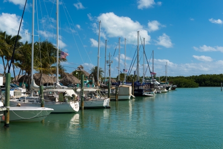 Saliboats docked in a marina in the Florida Keys, a very popular tourist destination.の写真素材