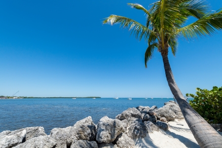 Tropical beach and palm tree in the Florida Keys, this is a very popular tourist attraction の写真素材