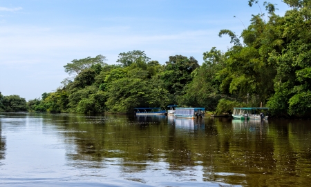 View of the Frio River in the CaÃ±o Negro Wildlife Refuge in Costa Rica.の写真素材