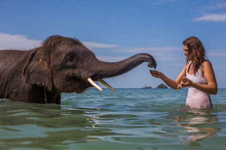 Girl swims with the elephant in the blue sea-ocean in Thailandの写真素材