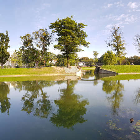 Trees are reflected in the water