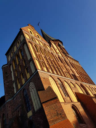Cathedral on Kant Island in Kaliningradの写真素材
