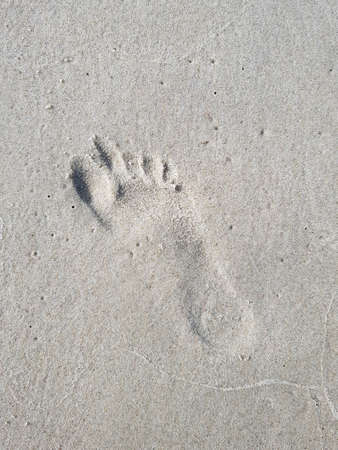 Human footprint on the sea sandの写真素材