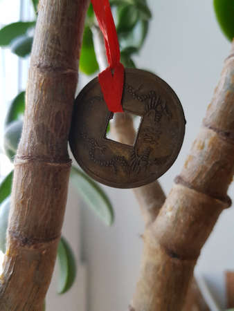 Chinese coin hanging on the money treeの写真素材