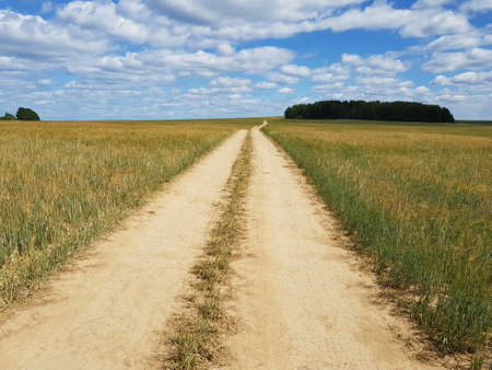 Dirt country road in a green field