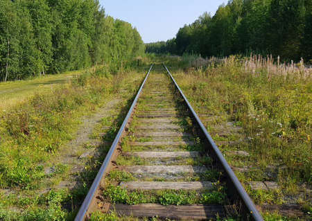 Abandoned railway overgrown with grass