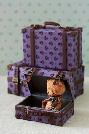 Teddy bear sitting in a doll suitcaseの写真素材