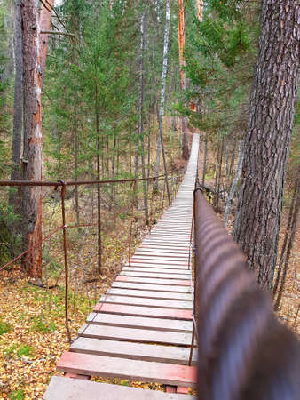 Wooden pedestrian suspension bridge in the forest