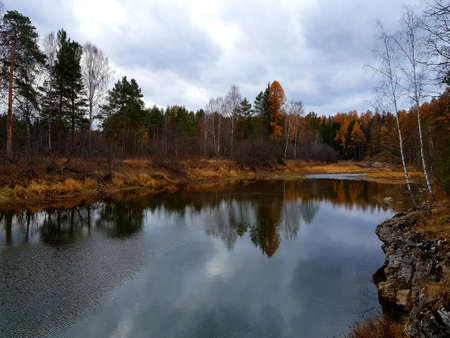 Trees grow on the rocky river bank