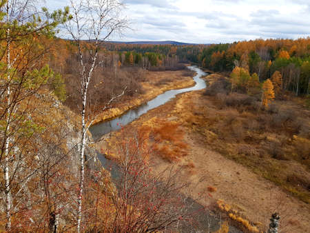 Trees grow on the rocky river bank