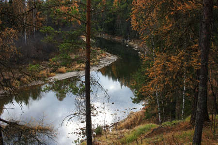 Autumn trees on the river bank