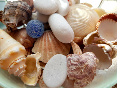 seashells in a glass bowl, closeup of photo