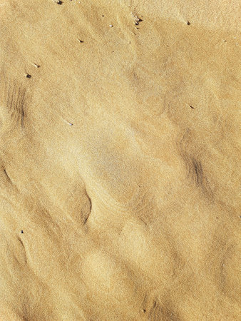 Sand texture. Sand background. Sand texture. Sand background. Sand backgroundの写真素材