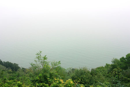 Landscape of foggy lake in the mountains, closeup of photoの写真素材